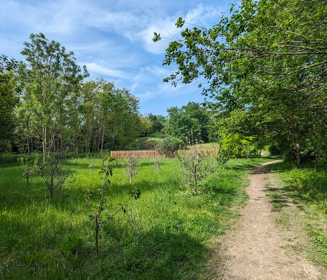 Promenade de la Plaine de Montjean 1